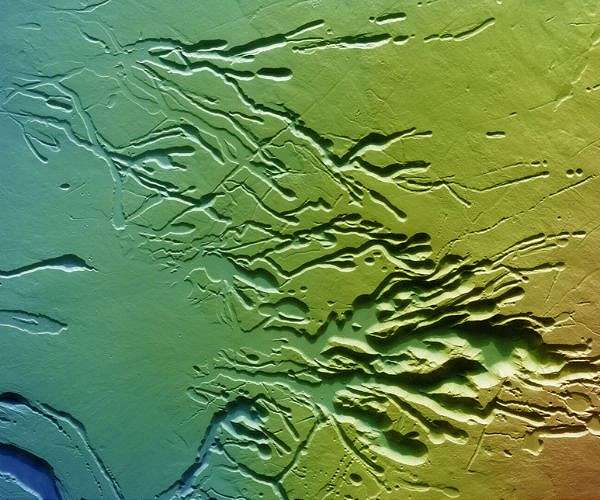 Chasms on the flanks of a Martian volcano