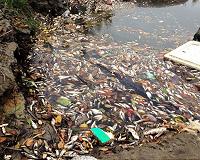 Vietnam activist jailed for 14 years over fish kill protests