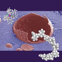 Composite Material Heals Itself With Bio Mimic