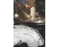 Deciphering clues to prehistoric climate changes locked in cave deposits