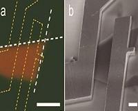 Piezoelectricity in a 2-D semiconductor