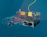 Lasers shed light on the inner workings of the giant larvacean