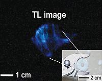 Color control technology using candy light-emitting principle