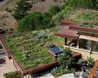 Researchers trying to build houses out of algae
