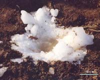 Giant Ice Ball Different From Hail