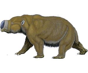 Did megafauna extinction cool the planet?