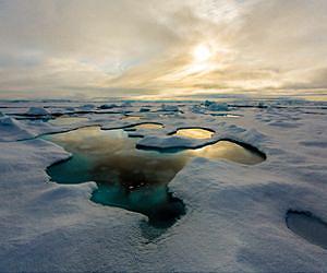 Arctic ice melt slows down: NASA