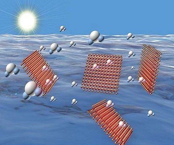 Shaping the future of purification