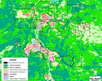 Satellites Take Sustainability To New Heights
