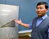 Scientists 'bend' elastic waves with new metamaterials