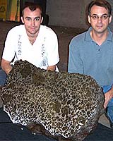 UA Scientist And Private Collector Form Center To Save Meteorites
