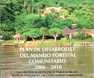 Mexico Forest Communities Excel In Capturing Carbon