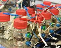 Scientists discover how microbes acquire electricity in making methane