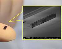 An accelerator on a microchip