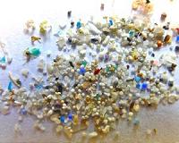 Microplastics and plastic additives discovered in ascidians all along Israel's coastline