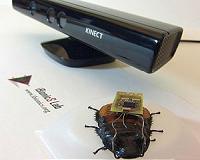 Speedy cockroaches help researchers train robots to walk