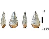 Early evidence of Middle Stone Age projectiles found in South Africa's Sibudu Cave
