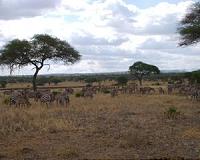 Payments for ecosystem services? Here's the guidebook