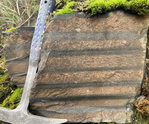 Earth had an 19-hour day for a billion years