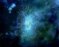 Magnetic fields force new perspective on center of Milky Way