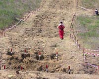 American Ordnance to supply mine clearing line charge systems