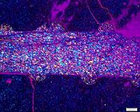 Research may explain mysterious deep earthquakes in subduction zones