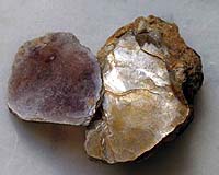 Mineral Kingdom Has Co-Evolved With Life