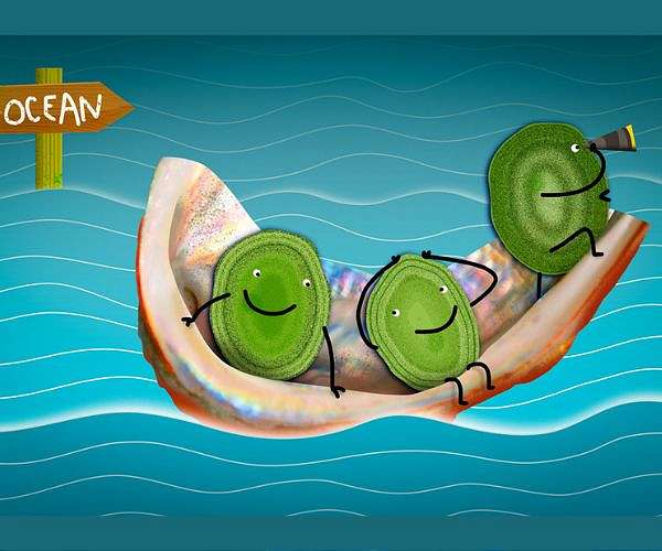 Ancestors of Prochlorococcus microbes rode out to sea on exoskeleton particles