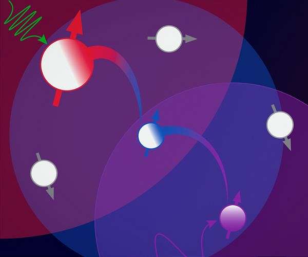 Grapes enhance quantum sensor performance