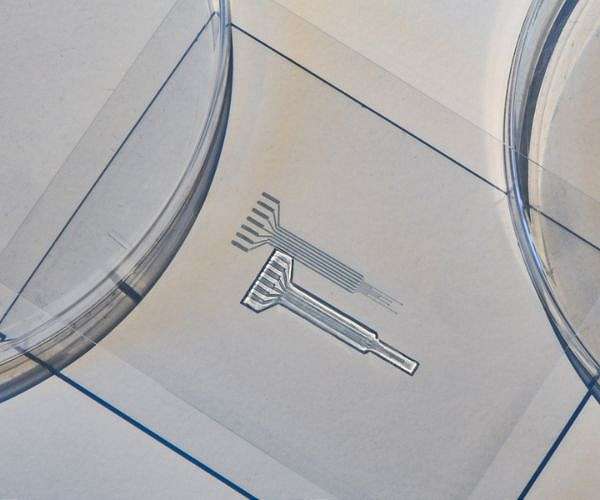 MIT engineers develop a soft, printable, metal-free electrode