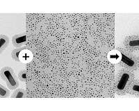 Researchers find simpler way to deposit magnetic iron oxide onto gold nanorods