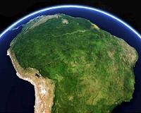 Amazon rainforest survey could improve carbon offset schemes