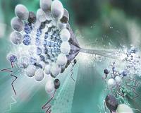 Nanoshuttle wear and tear: It's the mileage, not the age
