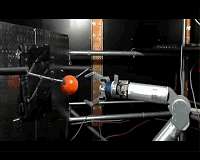 Amputees can learn to control a robotic arm with their minds