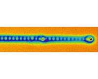 Researchers take first look into the 'eye' of Majoranas