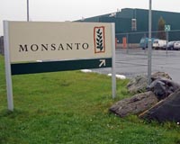 People's tribunal accuses Monsanto of 'ecocide'