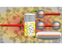 Researchers develop faster, precise silica coating process for quantum dot nanorods