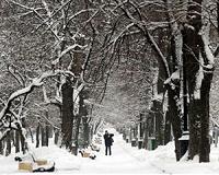 Moscow authorities struggle to clear record snowfall