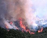 Maps Emphasize The Human Factor In Wildfire Manage