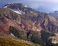 Reshaping mountains in the human mind to save species facing climate change