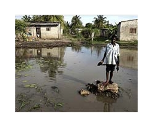 Mozambique to evacuate 130,000 from flood plain: state media