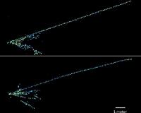 Probing the transforming world of neutrinos