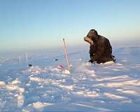 Scientists measure pulse of CO2 emissions during spring thaw in the Arctic