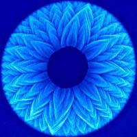 The Science and Art of Nano Worlds