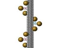 Design and build of synthetic DNA goes back to 'BASIC'