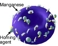 Disease-Fighting Nanoparticles Look Like Miniature Pastries