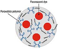 Nanoparticle Could Help Detect Many Diseases Early