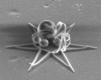 3-D nanoscale imaging made possible