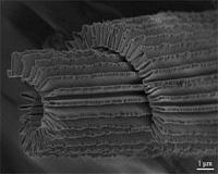 Researchers create transparent, stretchable conductors using nano-accordion structure