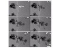 ORNL microscopy directly images problematic lithium dendrites in batteries